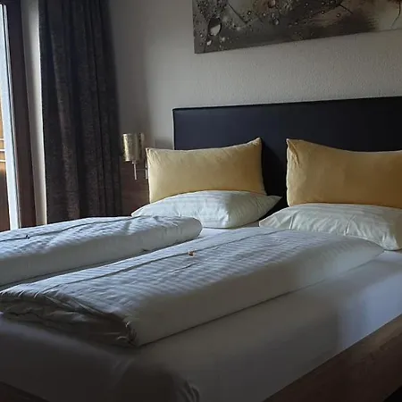 Hotel Montana 4*